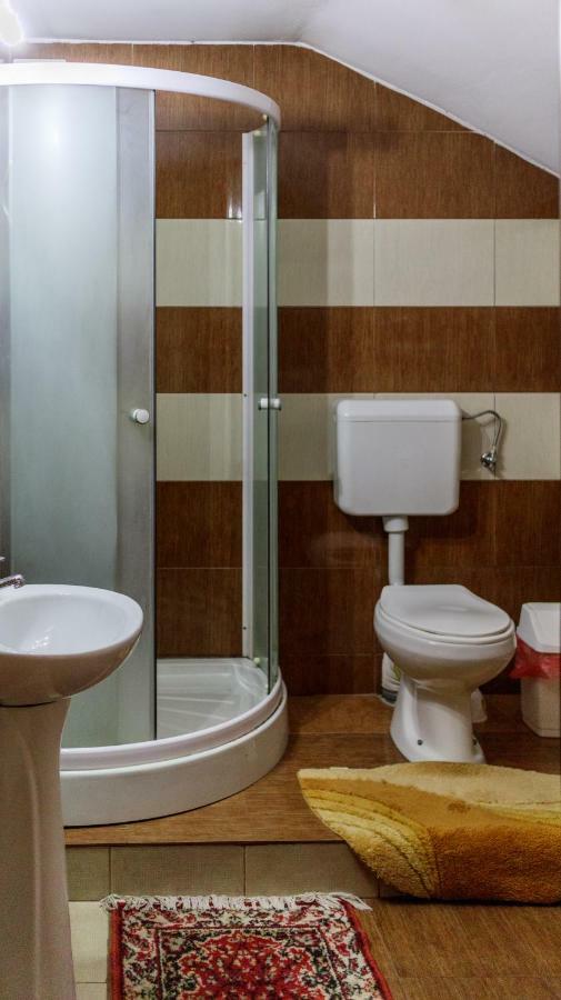 Hotel Pension Ladyna à Sebiş Extérieur photo