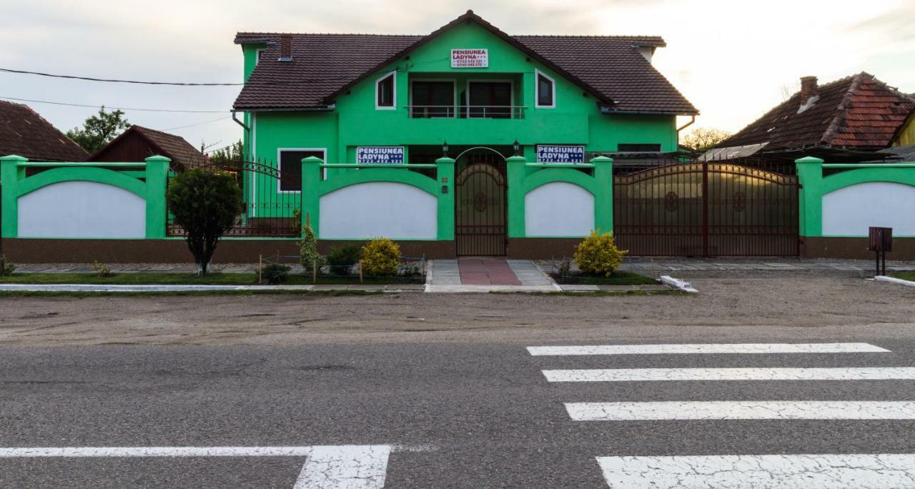 Hotel Pension Ladyna à Sebiş Extérieur photo