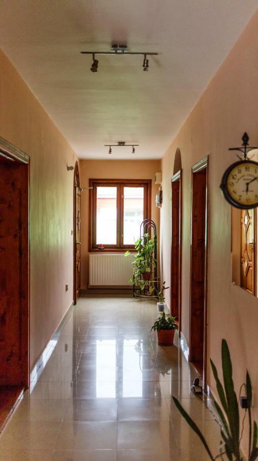 Hotel Pension Ladyna à Sebiş Extérieur photo